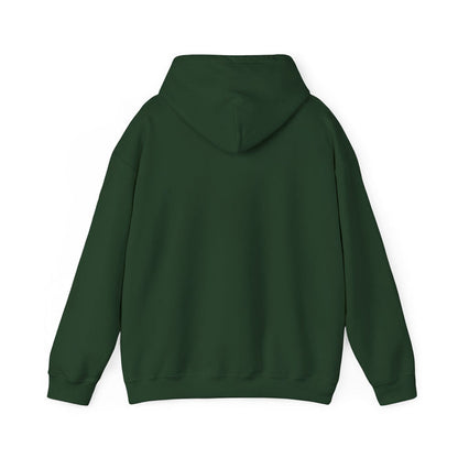 ADULT - Basic Hoodie - TRUTH CHAPEL