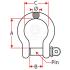SHACKLE 'BOW' 19MM GAL