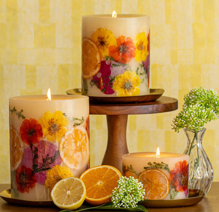 Sugared Citrus Botanical Candle, 5.5"