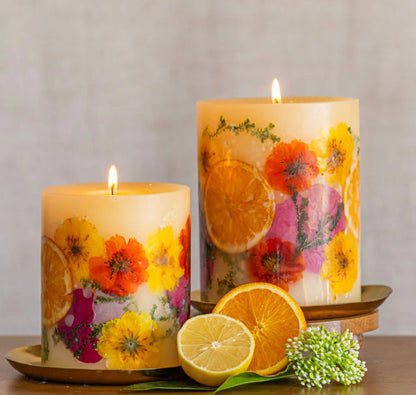 Sugared Citrus Botanical Candle, 5.5"